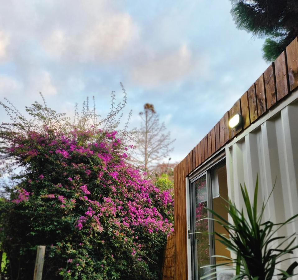 Casa L Hotel I Punta Del Este Dış mekan fotoğraf